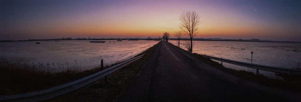 Természetfotó – Roncs Attila fotográfus felvétele (14)